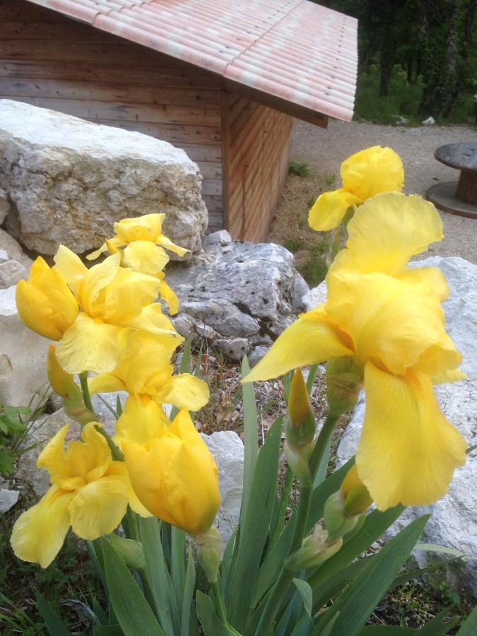 Lodge Du Berlandou Escragnolles Екстер'єр фото