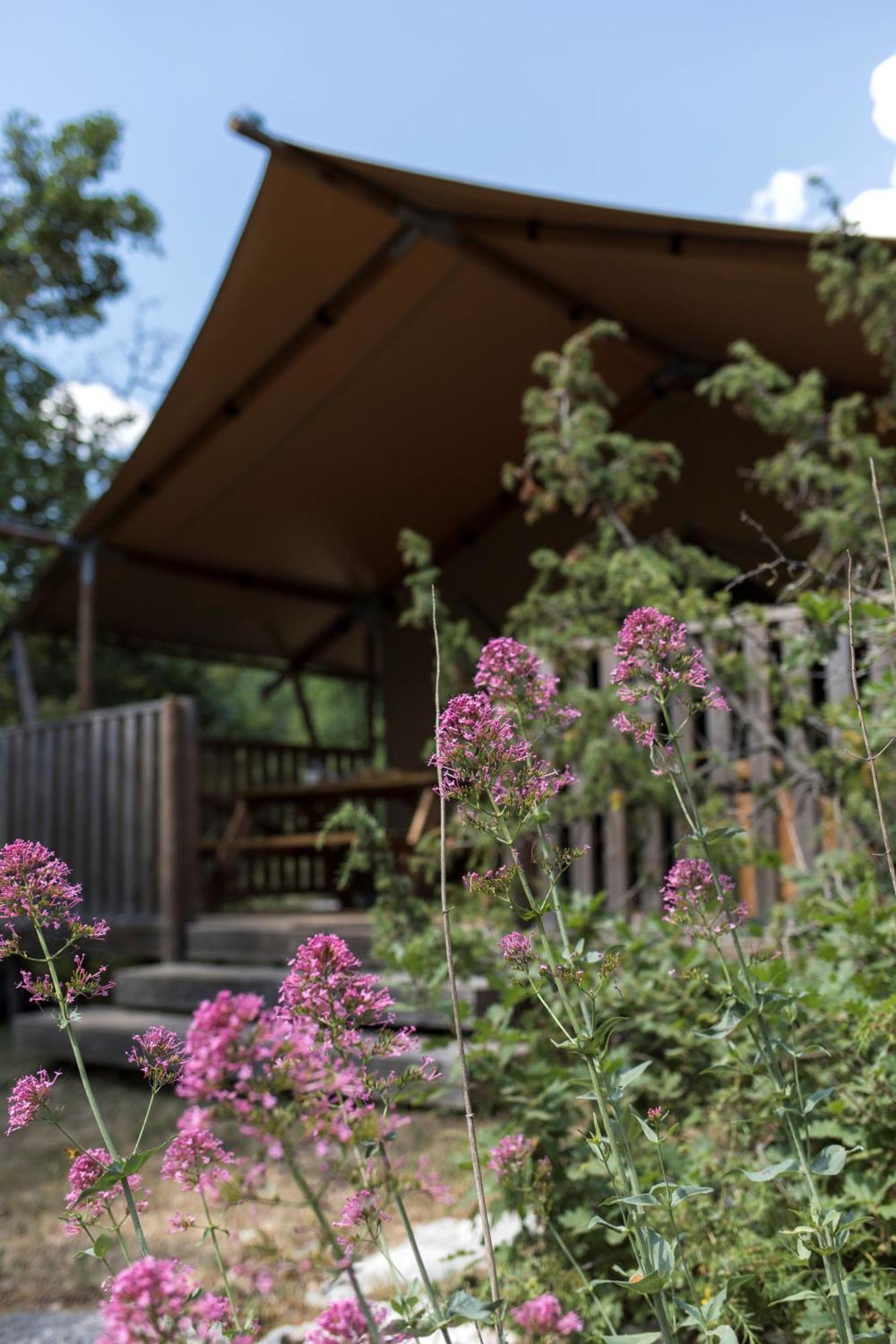 Lodge Du Berlandou Escragnolles Екстер'єр фото